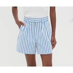 Tuckernuck Blue White Stripe Shorts Womens Large Briggs Safari High Rise Pleated
